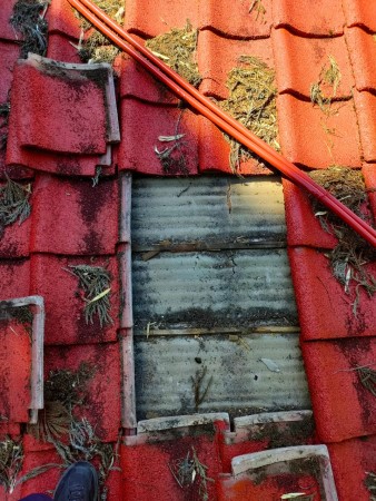 瓦屋根雨漏り調査　瓦を剥がして下地を確認